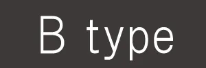 タイプB